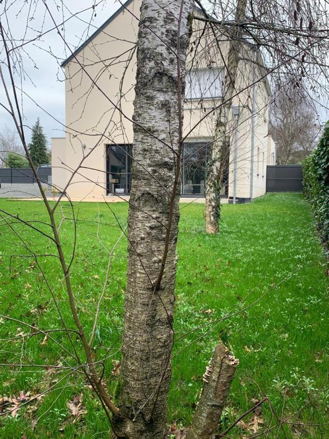 Maison De Charme Avec Jardin,pace,proche De Rennes * Pacé